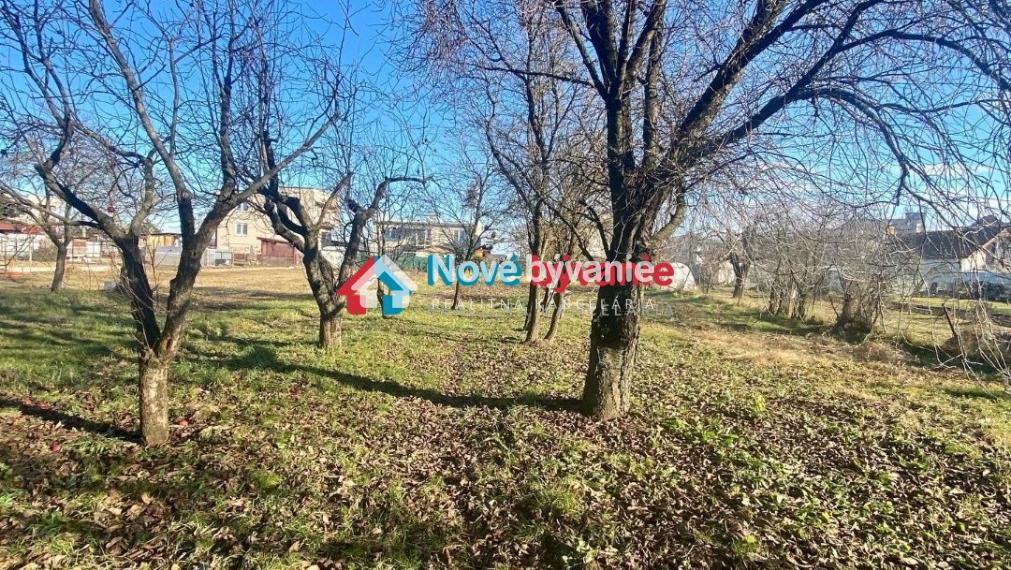Čečejovce  - Predaj pozemok 1332 m2 so starším RD