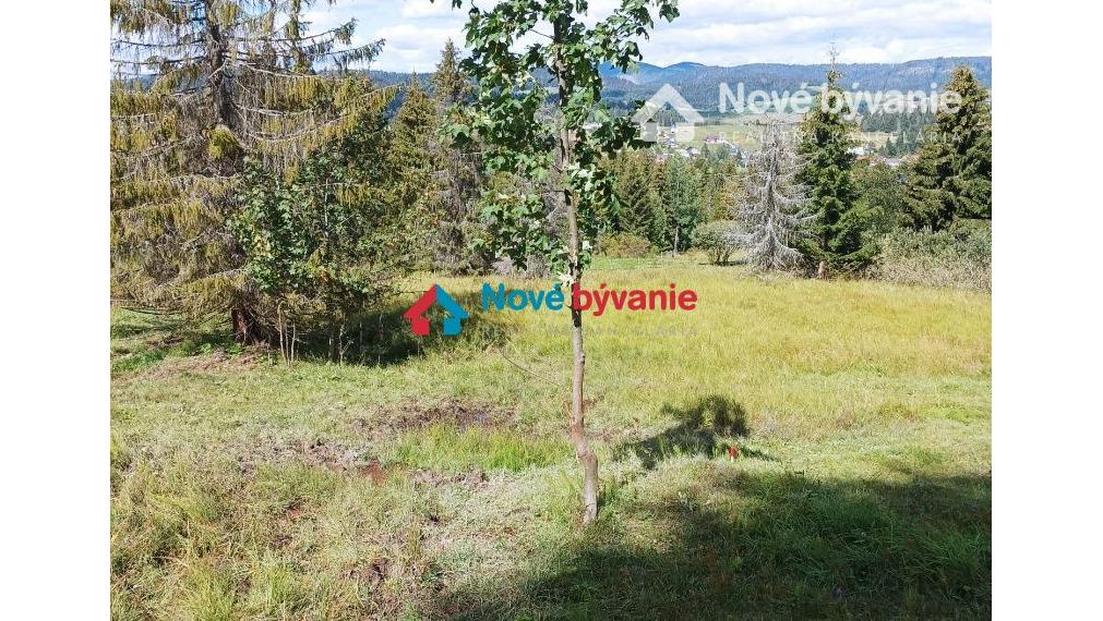 Oravské Lesná predaj pôdy  N013-12-VEDO