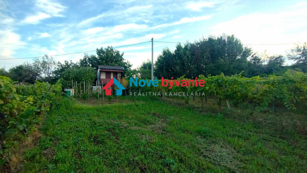 ZNÍŽENÁ CENA/Predaj, viničný domček s krásnym pozemkom-Farná(N143-13-FRADE)