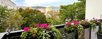 Pripravujem na PRENÁJOM 4 izb.byt+balkón BA- Nové Mesto (N052-214-ANHOE)