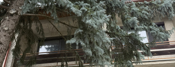 Na predaj: Priestranný 6-izbový rodinný dom s garážou - Piešťany – Vodárenská ulica