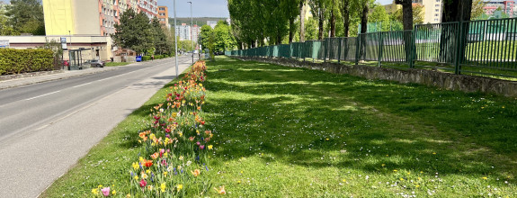 Pripravujem na predaj 2 izbový byt Dúbravka  PARK PEKNÍKOVA