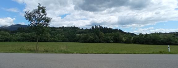 Rovinatý pozemok Bukovina - predaj ID:N009-14-PEDU