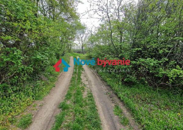 LEN U NÁS! Predáme pozemok v Pohraniciach s bohatou výmerou (N001-14-BP)