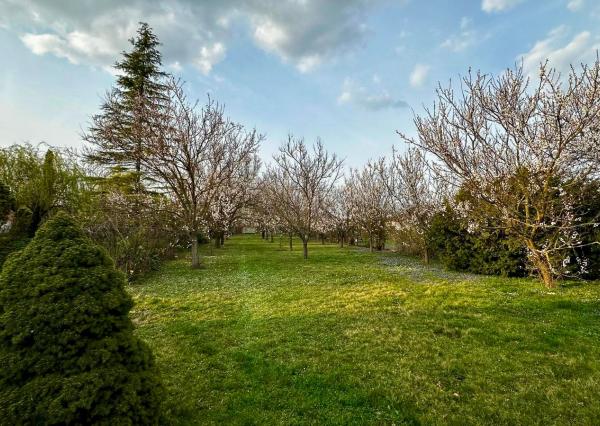 PREDAJ KRÁSNY STAVEBNÝ POZEMOK/MARHUĽOVÝ SAD - DOBROHOŠŤ