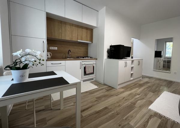 Predaj zrekonštruovaná garsónka+pivnica-Bratislava-Ružinov (N045-115-ANHO)