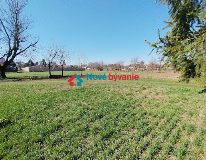 Veľký pozemok - Plavé Vozokany (N011-14-MAHA)