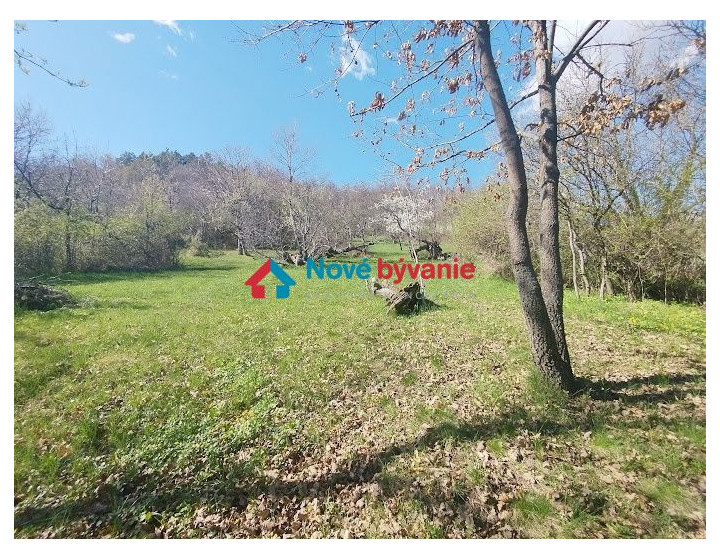 Predaj, rekreačný pozemok - Devičany (N017-14-MAHA)