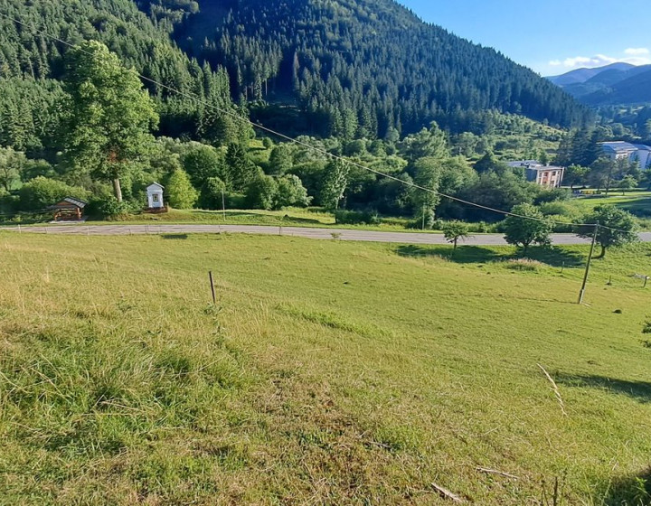 Pozemok v obci Liptovské Revúce na predaj ID: N001-14-VANa