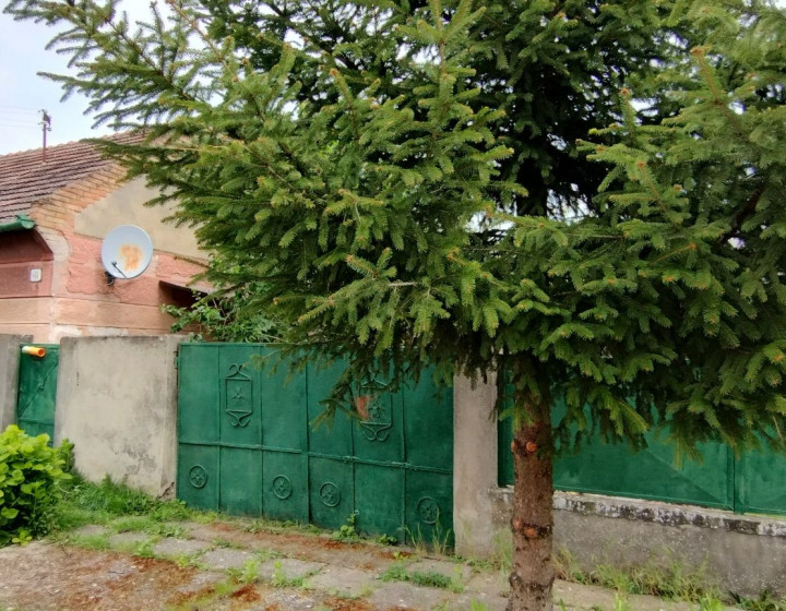 Predaj, päťizbový rodinný dom s krásnym pozemkom-Bíňa(N122-12-FRADE)