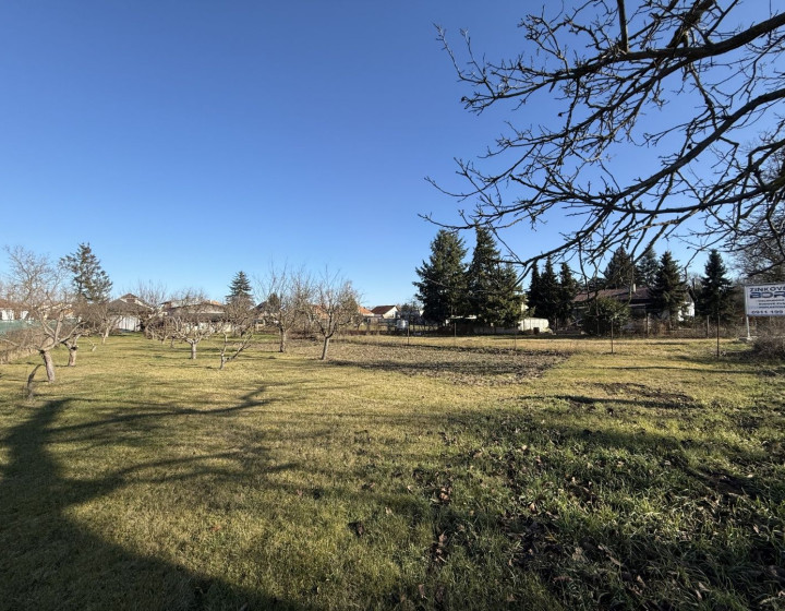 Top cena,na predaj pozemok-Želiezovce/Svodov(N157-14-FRADE)