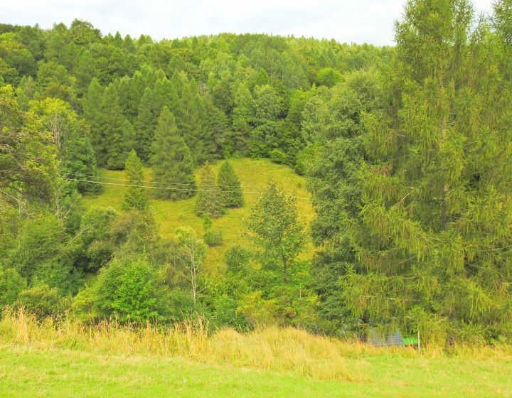 Na predaj pozemky v Jezersku