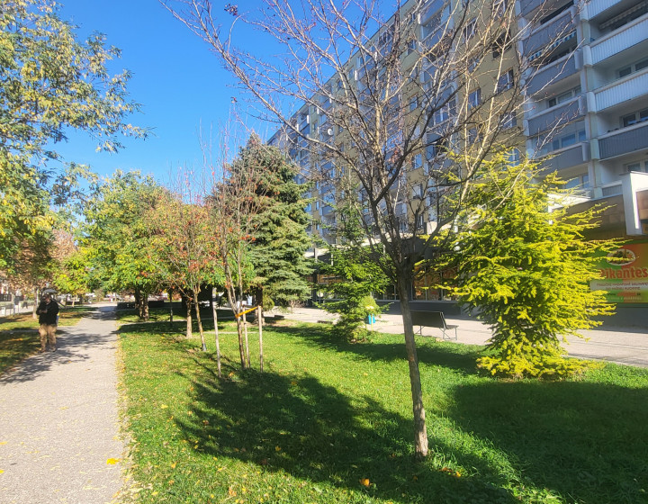 Predaj - 1 izbový byt - Bratislava II.