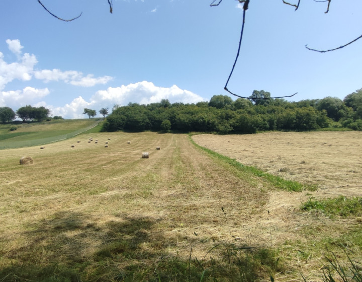 A) Stavebný pozemok pri Liptovskej Mare ID: N031-14STKE