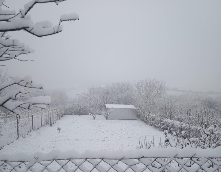 Predaj, záhrada - Mýtne Ludany   N009-14-TIKUE