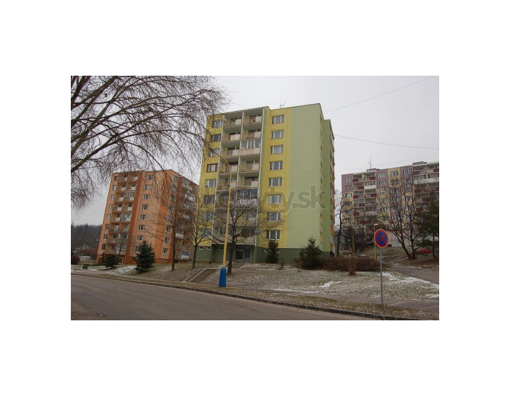 Priestranný 2 izbový byt na predaj