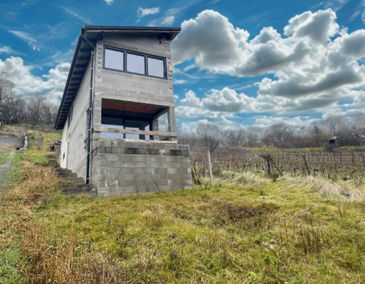 Moderný dom - Kusá Hora (Krížny vrch) - Levice N010-13-TIKUa