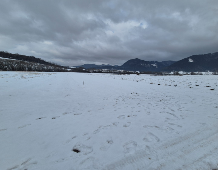 Predaj: Investičný pozemok 3888m², obec Ďurčiná, okr. Žilina