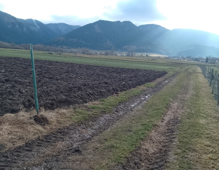 Predaj: Investičný pozemok 3888m², obec Ďurčiná, okr. Žilina