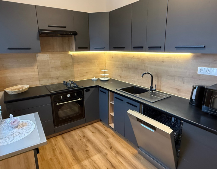 prenájom 2 izb. tehlový byt BA Kramáre - super cena (N291-212-OTKAE)