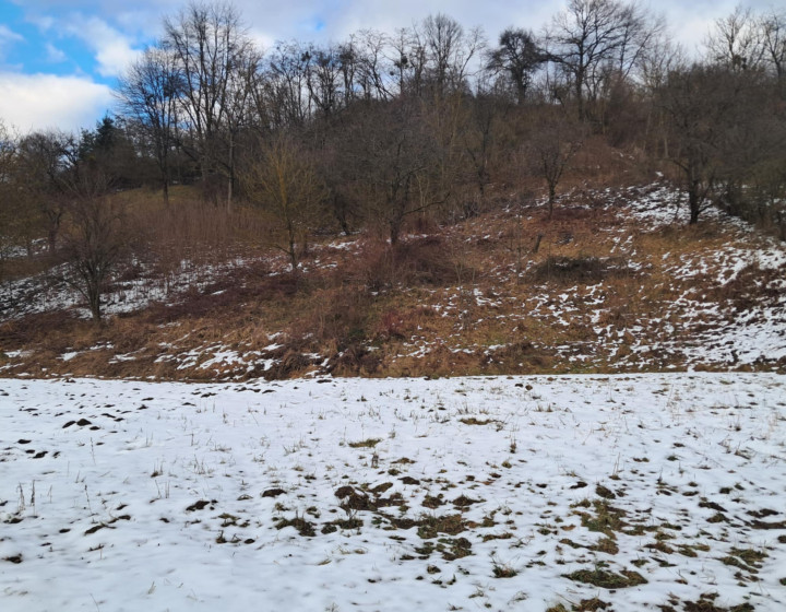 Na predaj slnečný pozemok v Jasenovciach