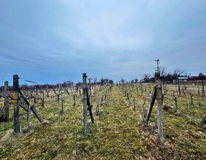 Rekreačný pozemok 1653 m² – Žemberovce vinice | N009-14-TIKU