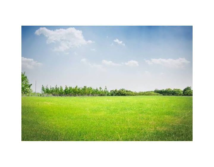 DOPYT - POZEMOK (Borinka/Marianka)