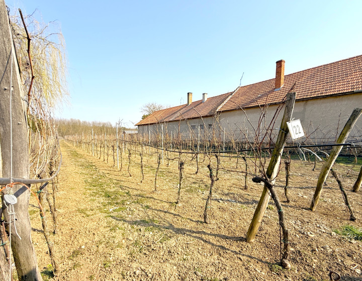 Predaj, krásny stav. pozemok-Želiezovce/Mikula(N216-14-FRAD)
