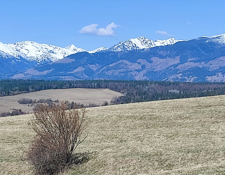 Pozemok pod Tatrami vo Východnej na predaj N036-14-STKE