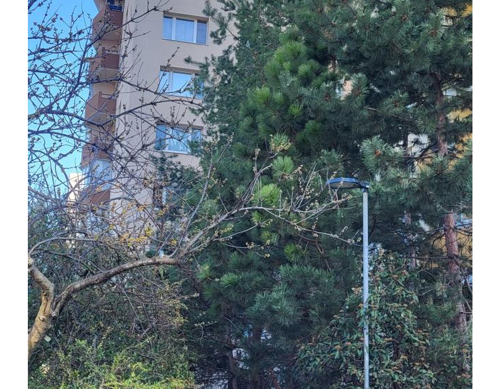 Predaj - 3 izbový byt Bratislava - Devínska Nová Ves