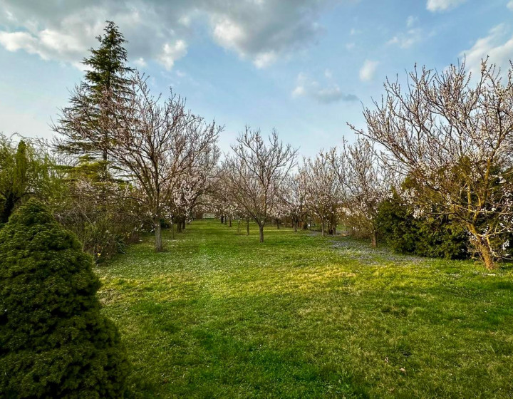 PREDAJ KRÁSNY STAVEBNÝ POZEMOK/MARHUĽOVÝ SAD - DOBROHOŠŤ (N300-14-OTKAE)