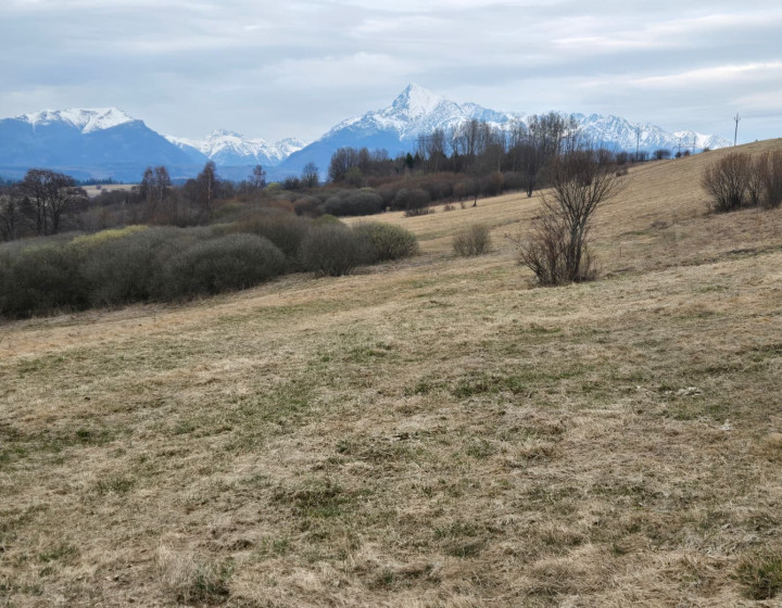 Pozemok vo Východnej pod Tatrami na predaj ID: N038-14-STKE