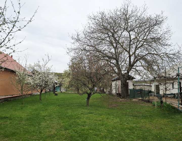 EXKLUZÍVNE na predaj krásny pozemok, Pusté Čemerné (N272-14-MIM)