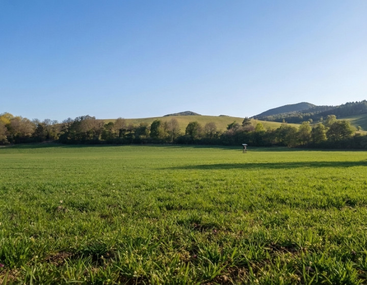 Predaj: rovinatý pozemok (N092-14-DASEa)