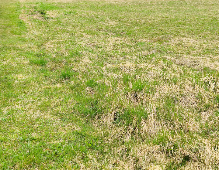 Stavebný pozemok Mlynčeky s výhľadom na Vysoké Tatry