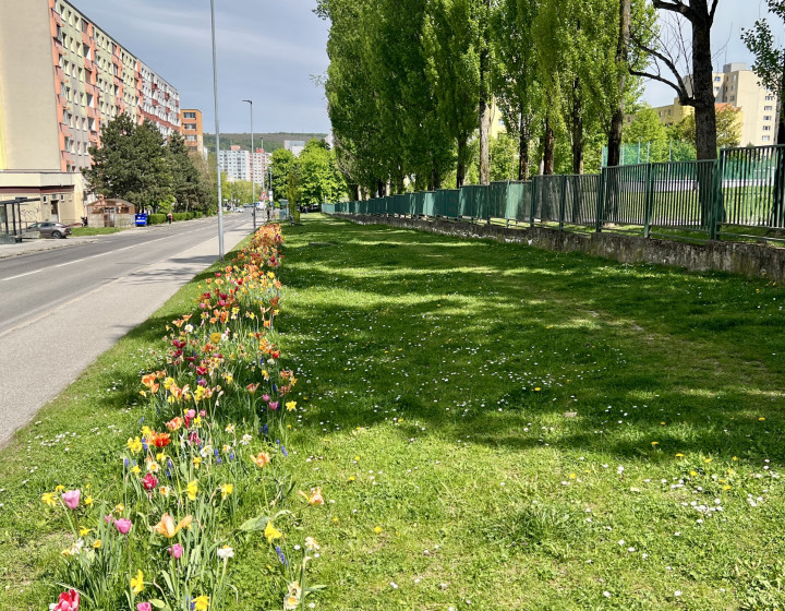 Pripravujem na predaj 2 izbový byt Dúbravka  PARK PEKNÍKOVA