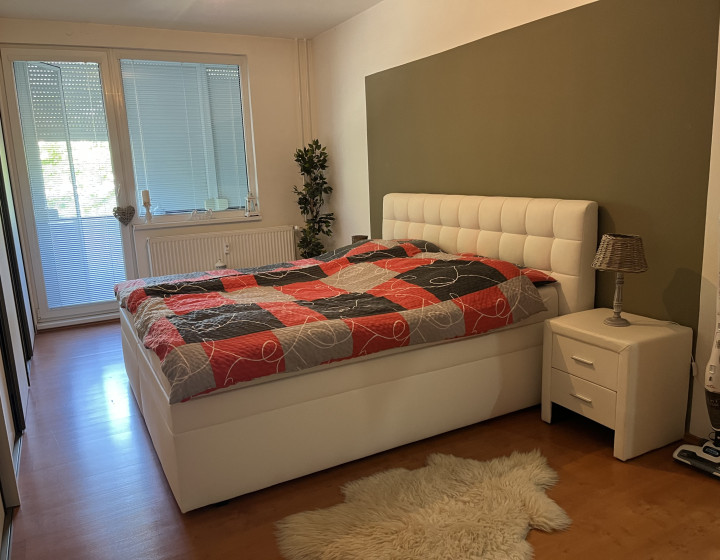 EXKLUZÍVNE /  Štýlový, zrekonštruovaný 3 izbový byt s garážou - Želiezovce (N006-113-NAGA)