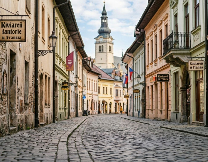 Dopyt: priestor, prevádzka Žilina (N101-25-DASE)