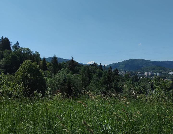 Pozemok s rodinným domom Čadca-Bukov  ID: N002-14-LEMI