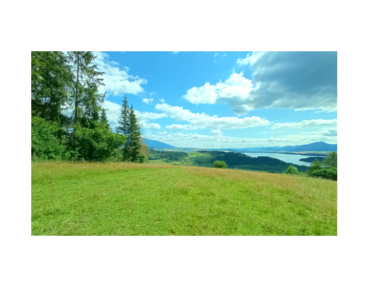 Veľkolepý pozemok 12142 metrov - Bukovina ID: N015-14-PEDU