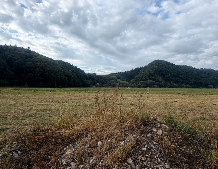 Predaj: stavebný pozemok - Plevník 941 m2 (N104-14-DASEa)