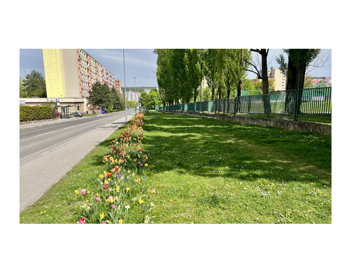 HLADAM 3 IZ. BYT NA PRENAJOM