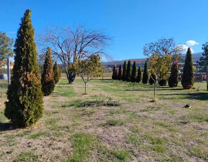 Predaj, Stavebný slnečný pozemok 600 m2 -Žitavany (N006-14-MAOLa)