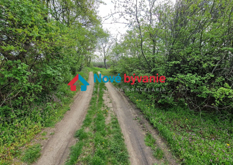 LEN U NÁS! Predáme pozemok v Pohraniciach s bohatou výmerou (N001-14-BP)